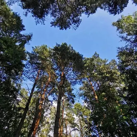 Okno Na Domek alpejski